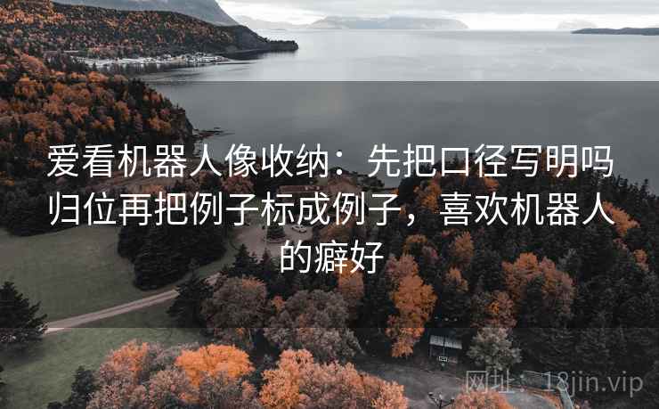 爱看机器人像收纳：先把口径写明吗归位再把例子标成例子，喜欢机器人的癖好